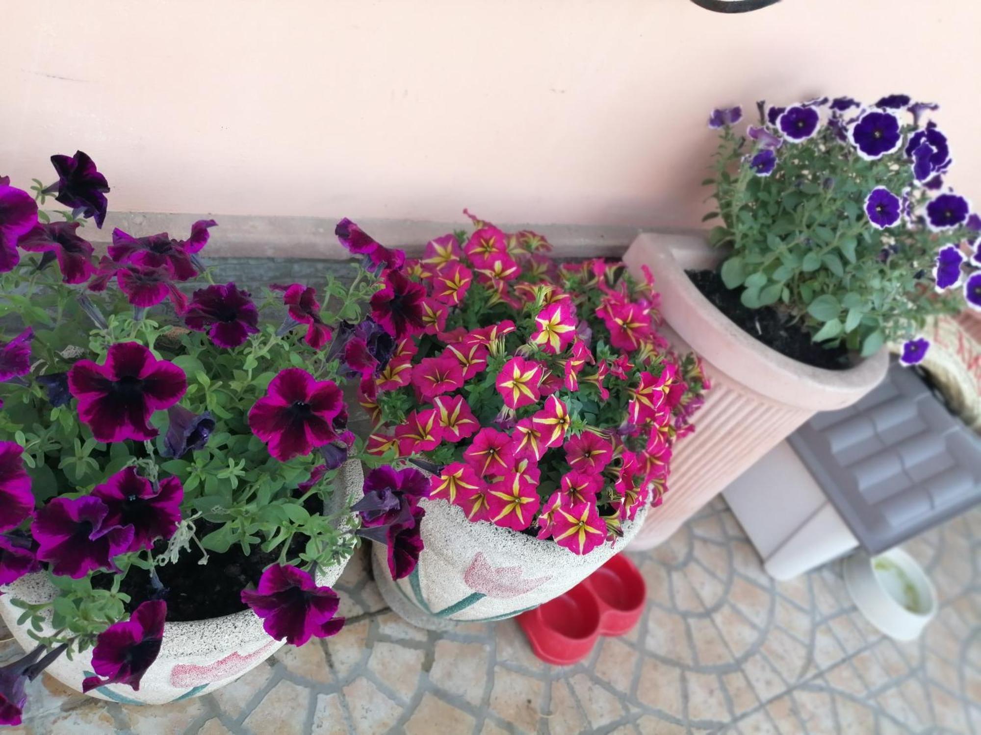 B&B Villa Milena อาเรียโน อีร์ปิโน ภายนอก รูปภาพ